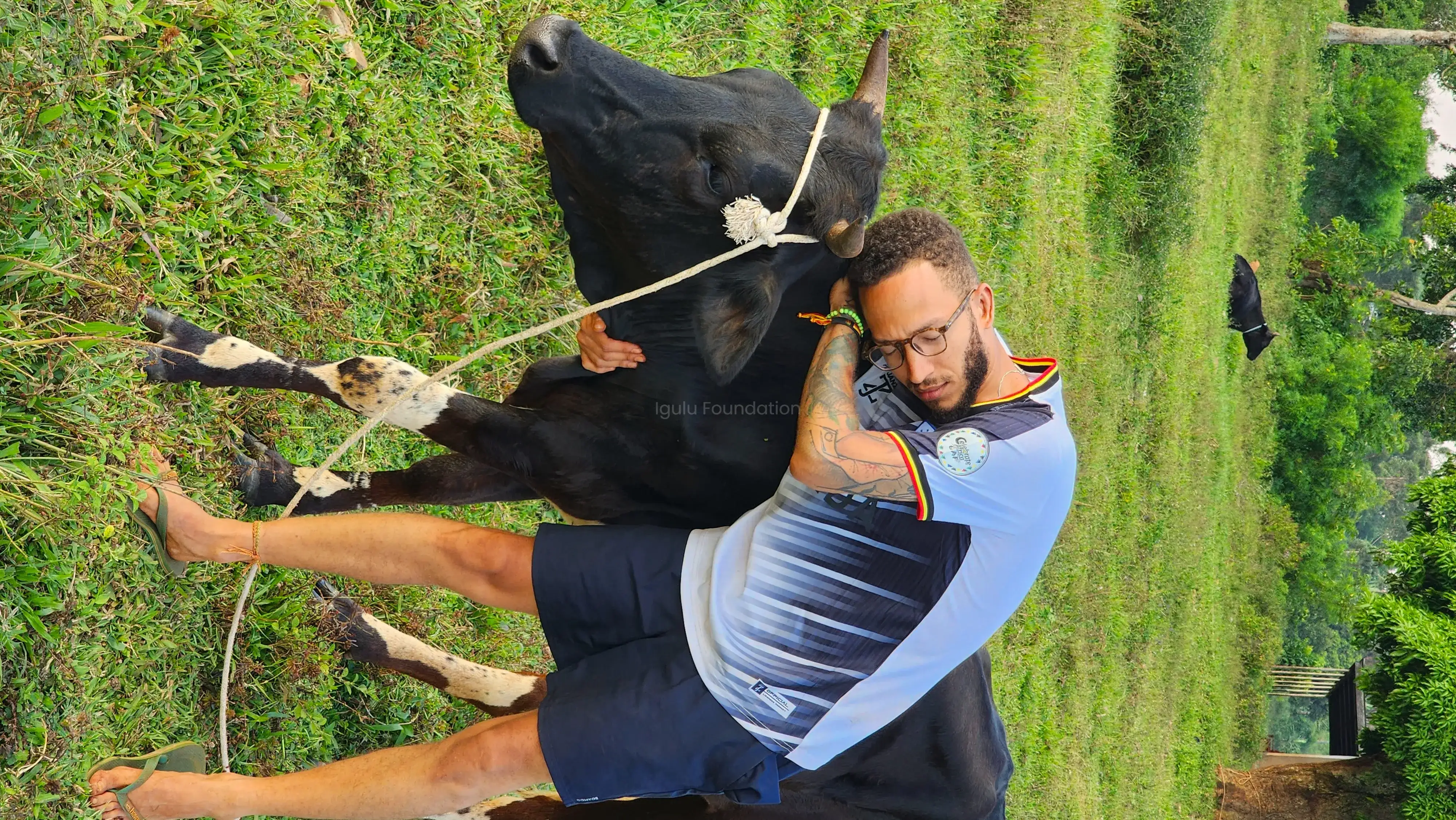 Gallery Image - Animal Care